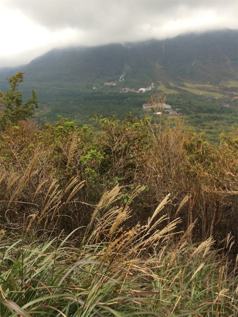 f:id:tenkochaniine:20151012093043j:image f:id:tenkochaniine:20151012093043j:image