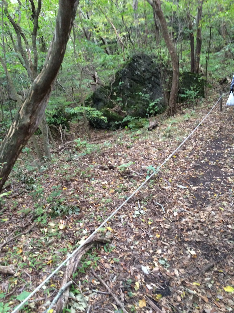 f:id:tenkochaniine:20151012114021j:image f:id:tenkochaniine:20151012114021j:image