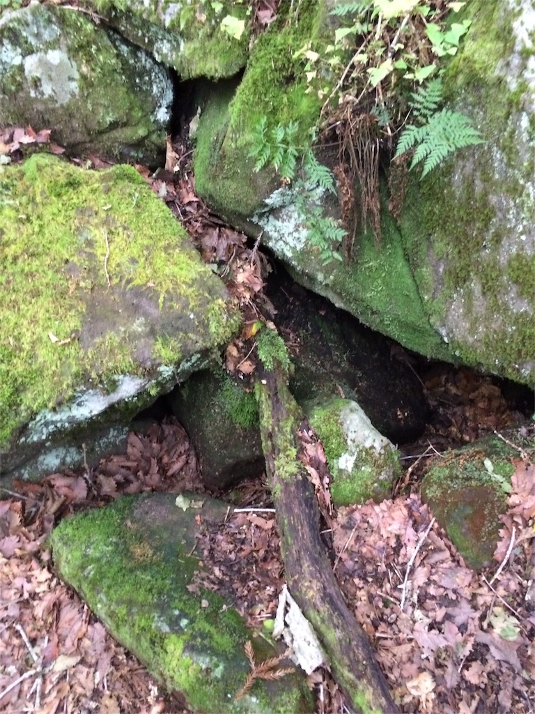 f:id:tenkochaniine:20151012114328j:image f:id:tenkochaniine:20151012114328j:image