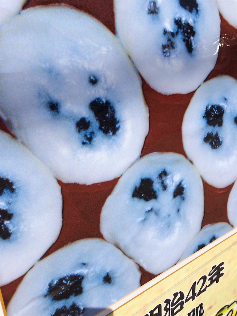 f:id:tenkochaniine:20160312134326j:image f:id:tenkochaniine:20160312134326j:image