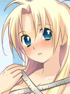 f:id:tennendojo:20080211134504j:image f:id:tennendojo:20080211134504j:image