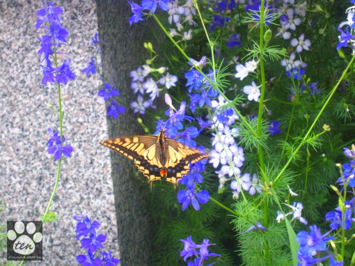 f:id:tennetimadoko:20150424085707j:plain f:id:tennetimadoko:20150424085707j:plain