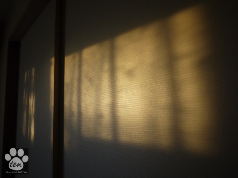f:id:tennetimadoko:20150424090349j:plain f:id:tennetimadoko:20150424090349j:plain