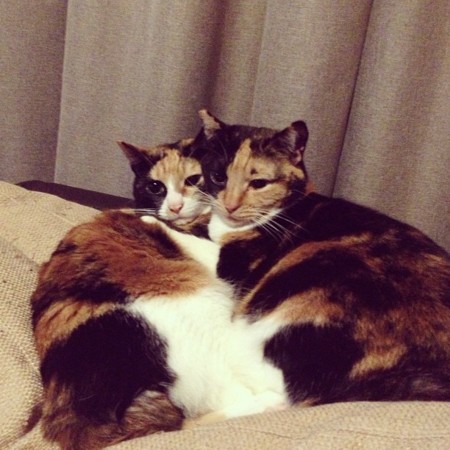 f:id:teppei-studio:20130810100118j:plain f:id:teppei-studio:20130810100118j:plain