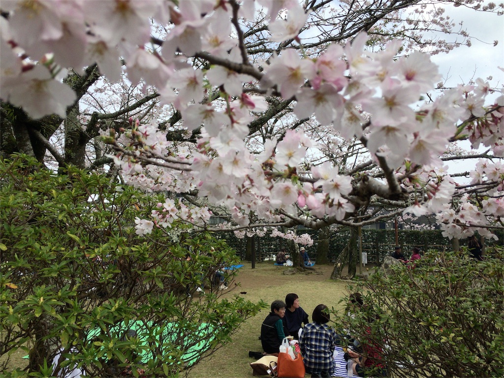 f:id:terakappa:20160403230653j:image