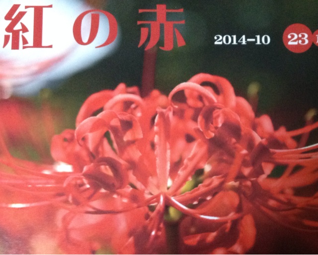 f:id:teruhanomori:20141101184722j:plain f:id:teruhanomori:20141101184722j:plain