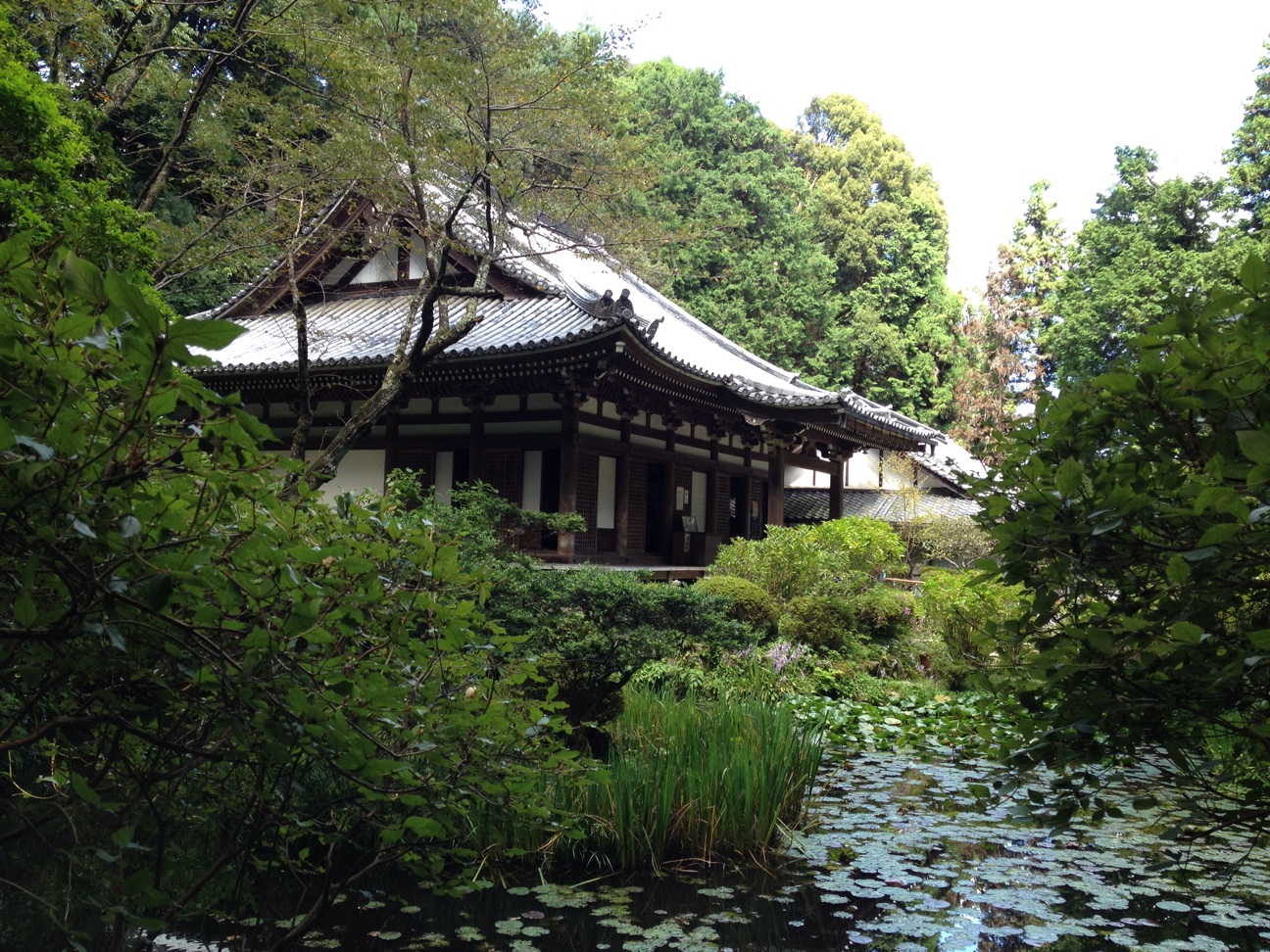 f:id:teruhanomori:20141216064837j:plain f:id:teruhanomori:20141216064837j:plain