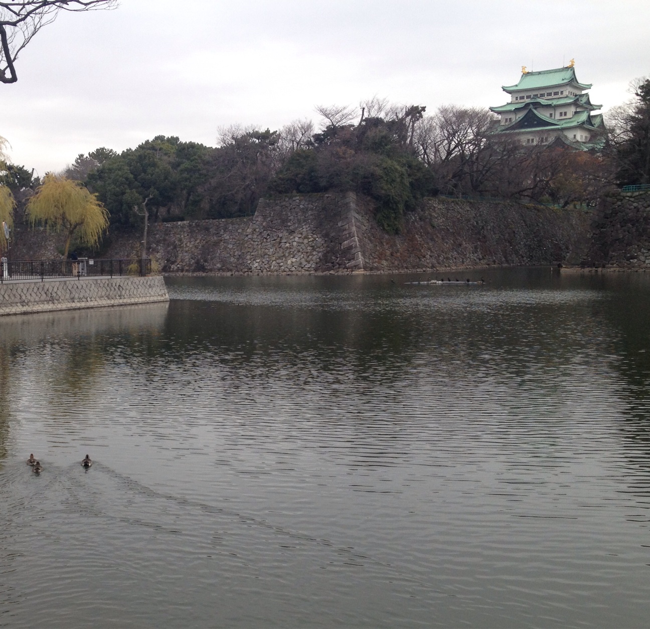 f:id:teruhanomori:20141221093414j:plain f:id:teruhanomori:20141221093414j:plain