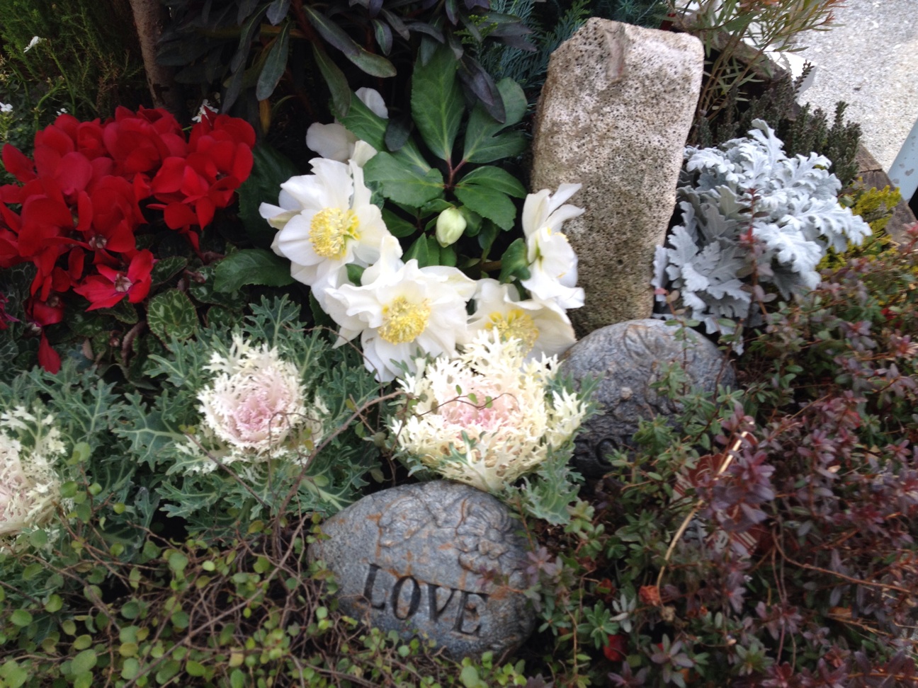 f:id:teruhanomori:20141226145337j:plain f:id:teruhanomori:20141226145337j:plain