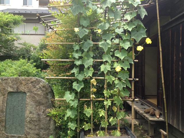f:id:teruhanomori:20150619061905j:image f:id:teruhanomori:20150619061905j:image