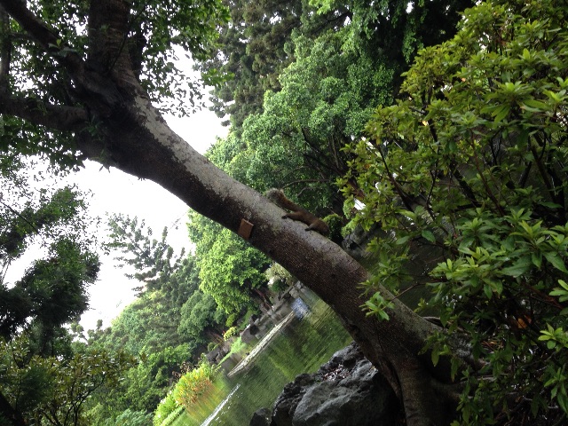 f:id:teruhanomori:20150905075809j:image f:id:teruhanomori:20150905075809j:image