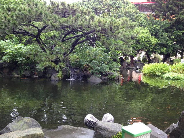 f:id:teruhanomori:20150905075849j:image f:id:teruhanomori:20150905075849j:image