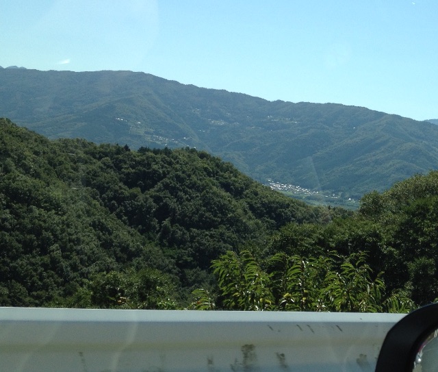 f:id:teruhanomori:20150913173810j:image f:id:teruhanomori:20150913173810j:image