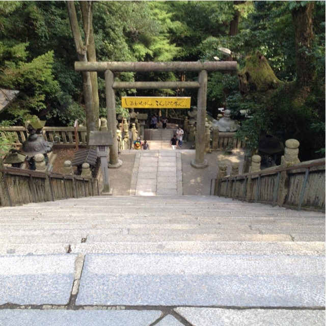 f:id:teruhanomori:20150915085358j:image f:id:teruhanomori:20150915085358j:image