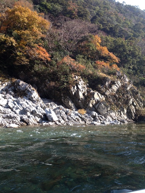 f:id:teruhanomori:20150918034830j:image f:id:teruhanomori:20150918034830j:image
