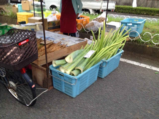 f:id:teruhanomori:20150919154334j:image f:id:teruhanomori:20150919154334j:image