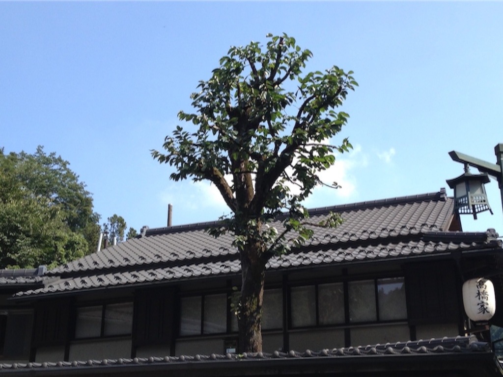 f:id:teruhanomori:20150923182333j:image f:id:teruhanomori:20150923182333j:image