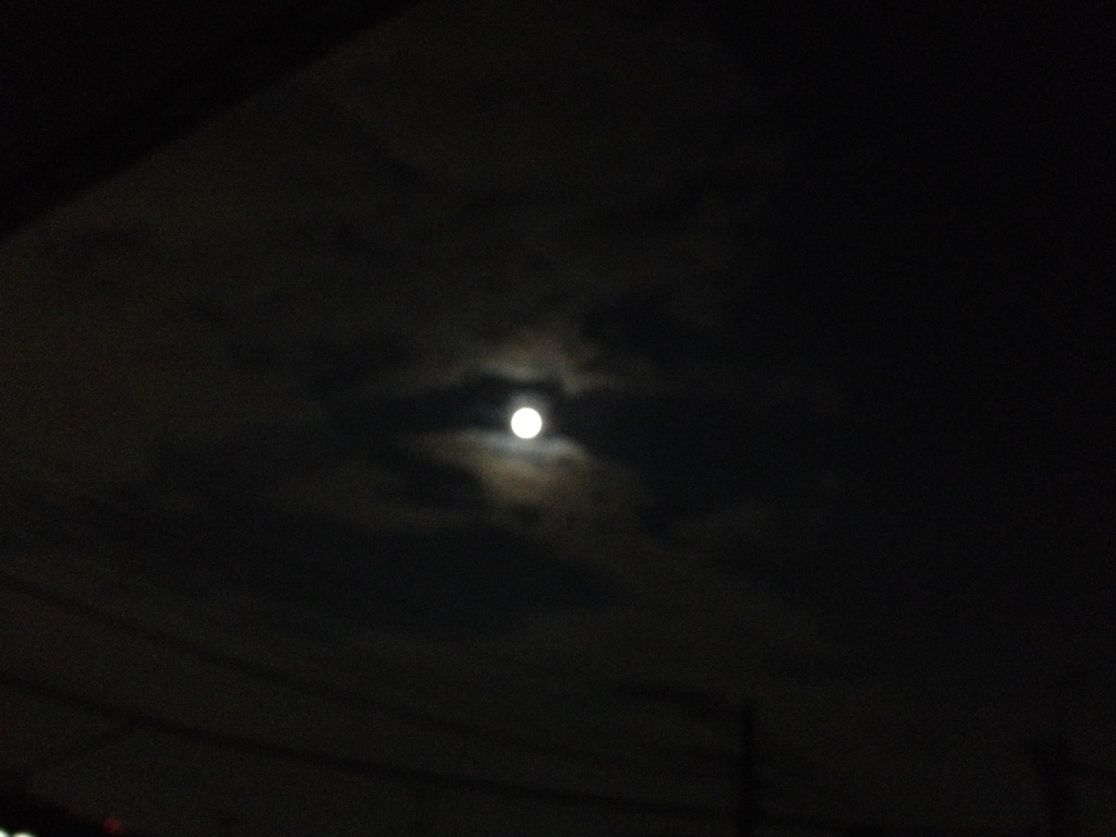f:id:teruhanomori:20150927191944j:image f:id:teruhanomori:20150927191944j:image
