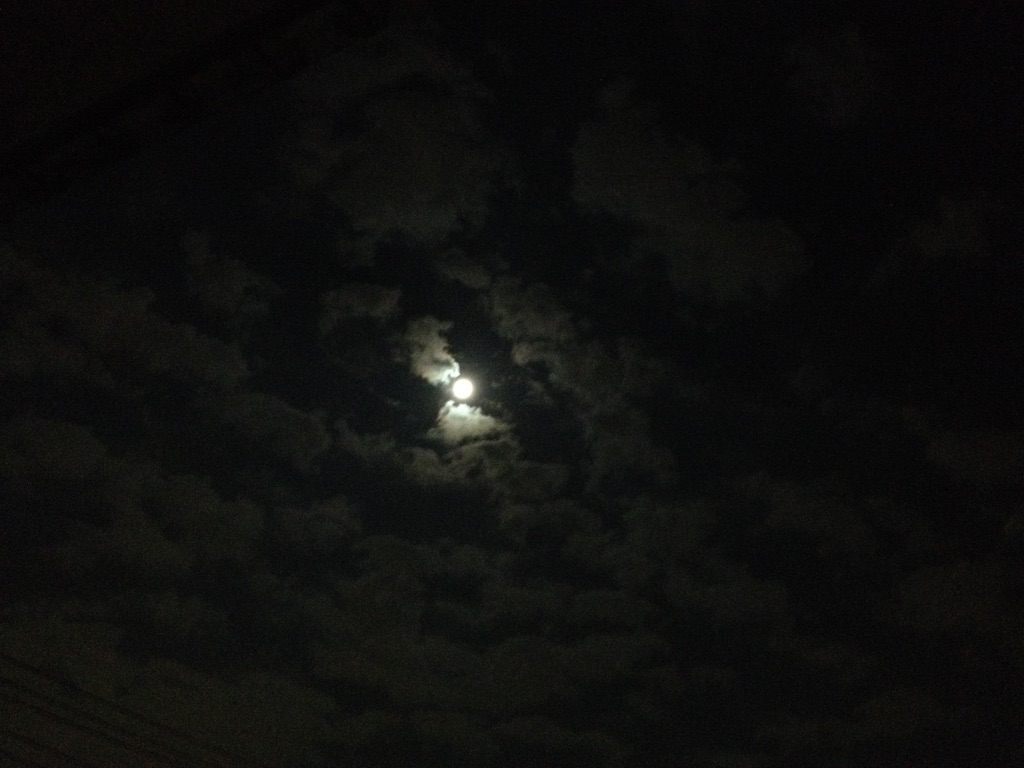 f:id:teruhanomori:20150928205730j:image f:id:teruhanomori:20150928205730j:image