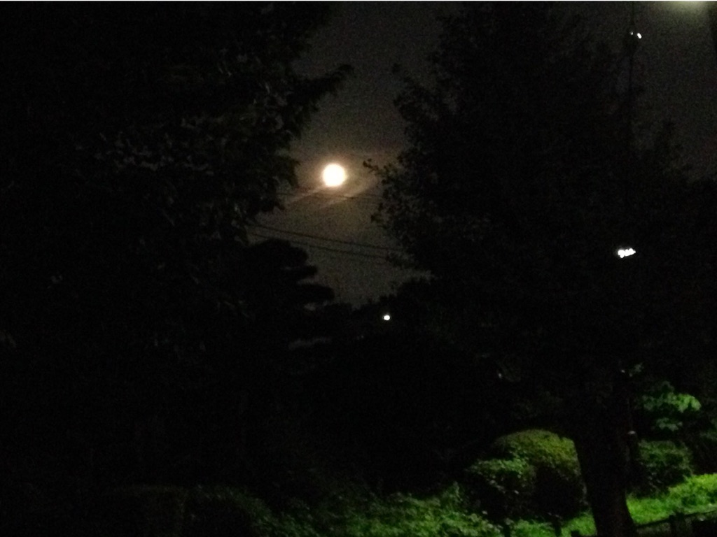f:id:teruhanomori:20151001190451j:image f:id:teruhanomori:20151001190451j:image