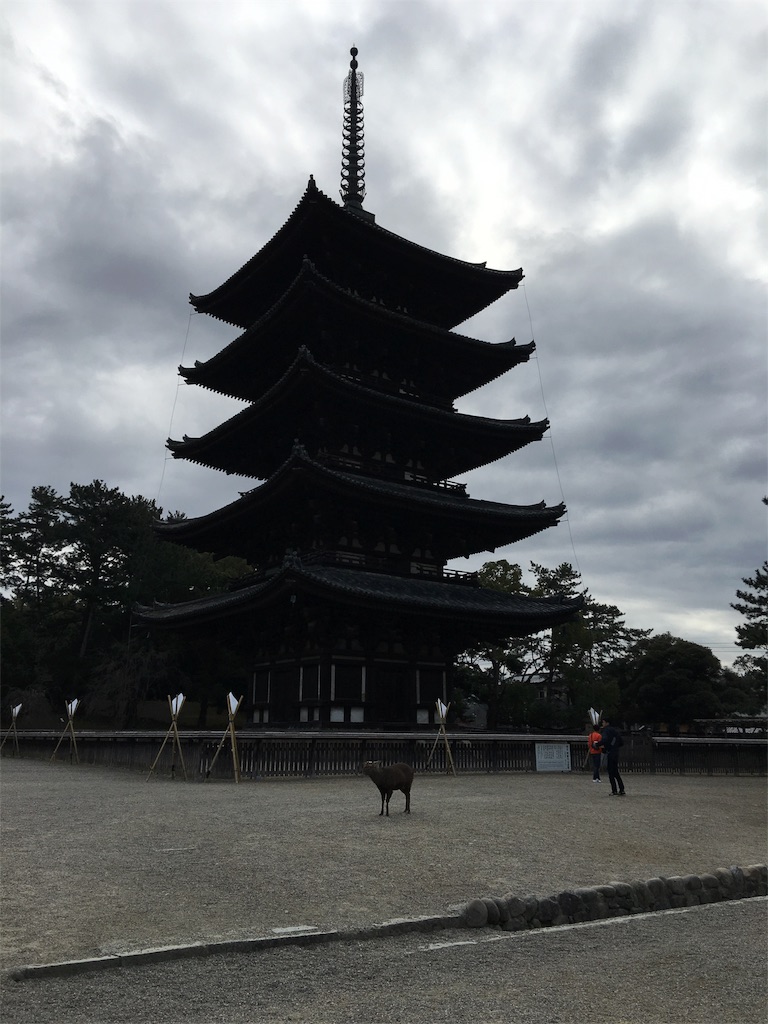 f:id:teruhanomori:20160214154610j:image f:id:teruhanomori:20160214154610j:image