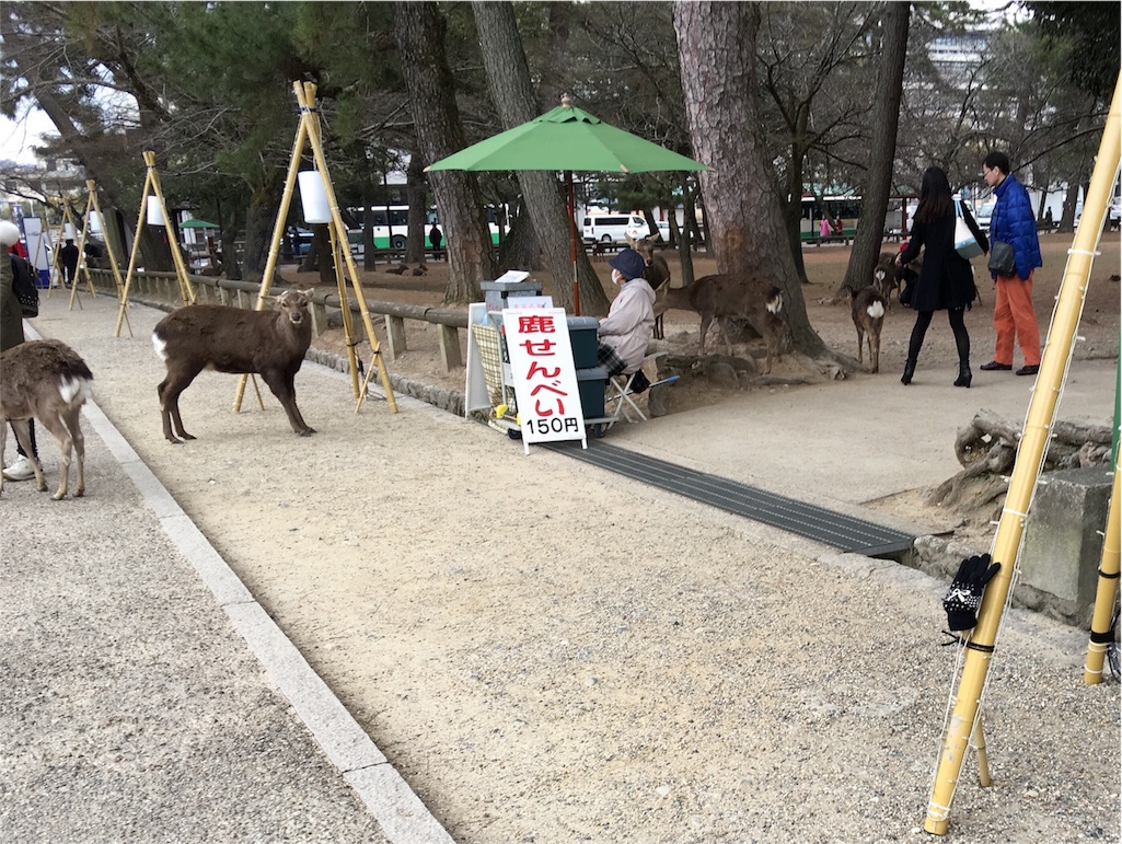 f:id:teruhanomori:20160214154656j:image f:id:teruhanomori:20160214154656j:image