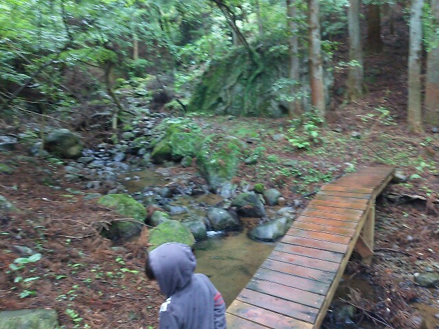 f:id:terunama12:20160706205740j:image f:id:terunama12:20160706205740j:image