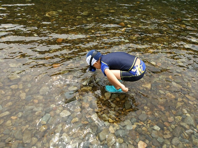 f:id:terunama12:20160707041649j:image f:id:terunama12:20160707041649j:image