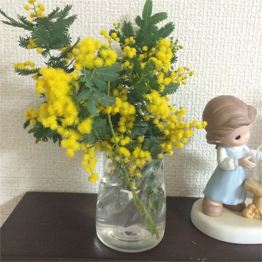 f:id:teruteruterubouzu:20160306224048j:image f:id:teruteruterubouzu:20160306224048j:image
