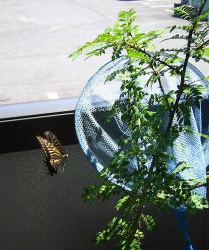 f:id:tetsu23:20070804135137j:image:h300