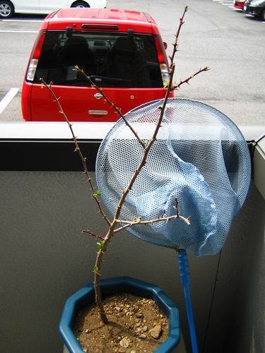 f:id:tetsu23:20070804135500j:image:h300