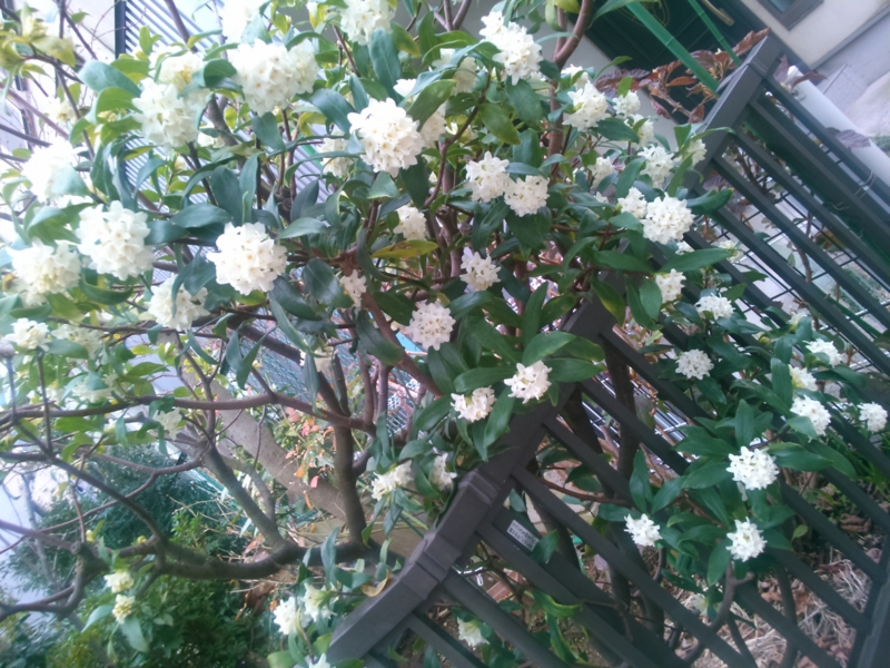 f:id:tetsuji178:20150322234338j:plain f:id:tetsuji178:20150322234338j:plain