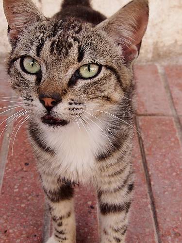 f:id:tetsujin96:20140416025720j:plain