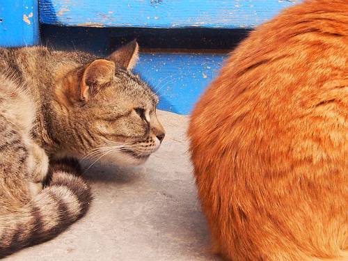 f:id:tetsujin96:20140416025835j:plain