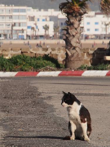 f:id:tetsujin96:20140418074511j:plain