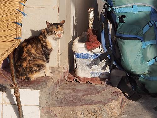 f:id:tetsujin96:20140418074526j:plain