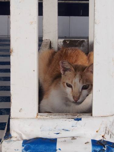 f:id:tetsujin96:20140418074548j:plain