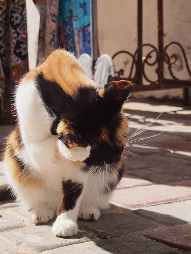 f:id:tetsujin96:20140418074621j:plain