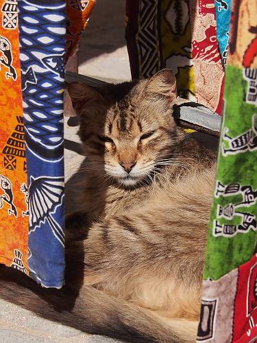 f:id:tetsujin96:20140418074639j:plain