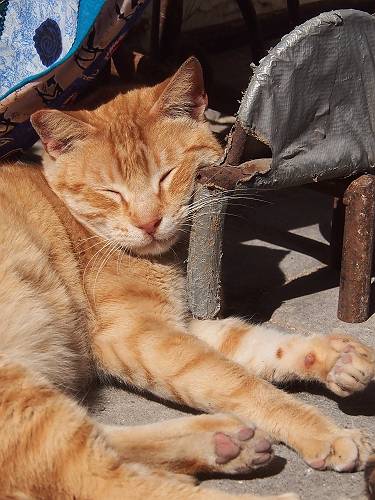 f:id:tetsujin96:20140418074657j:plain