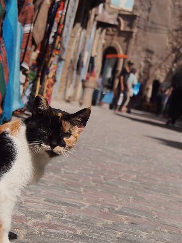 f:id:tetsujin96:20140418074718j:plain