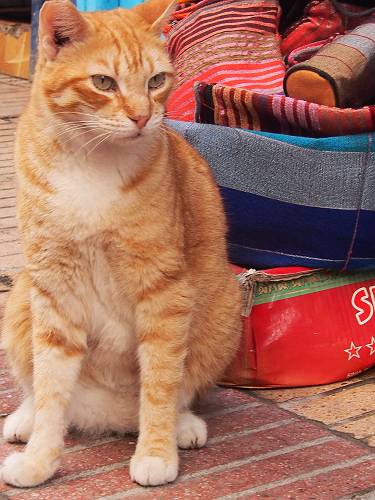 f:id:tetsujin96:20140418074743j:plain