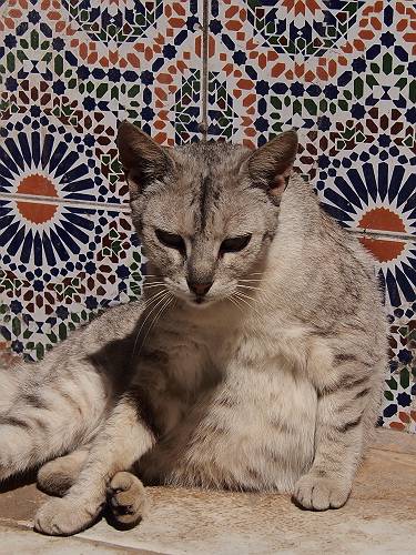 f:id:tetsujin96:20140418074828j:plain