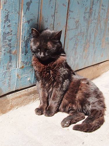 f:id:tetsujin96:20140418074907j:plain