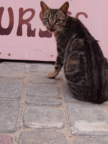 f:id:tetsujin96:20140418075028j:plain