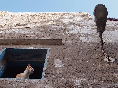 f:id:tetsujin96:20140418075112j:plain