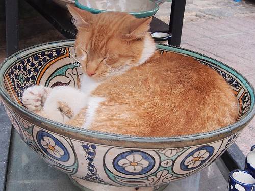 f:id:tetsujin96:20140418075140j:plain