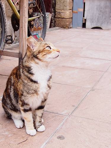 f:id:tetsujin96:20140418075206j:plain