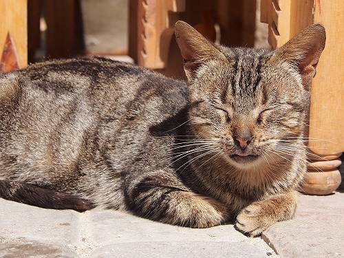 f:id:tetsujin96:20140418075228j:plain