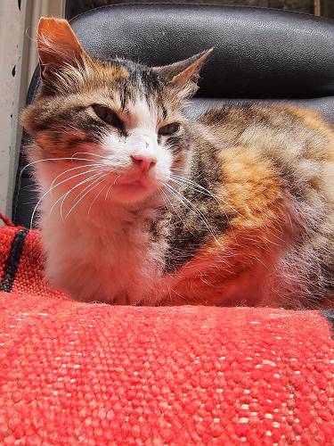 f:id:tetsujin96:20140418075300j:plain